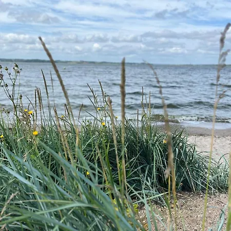 Schlei-liebe Missunde